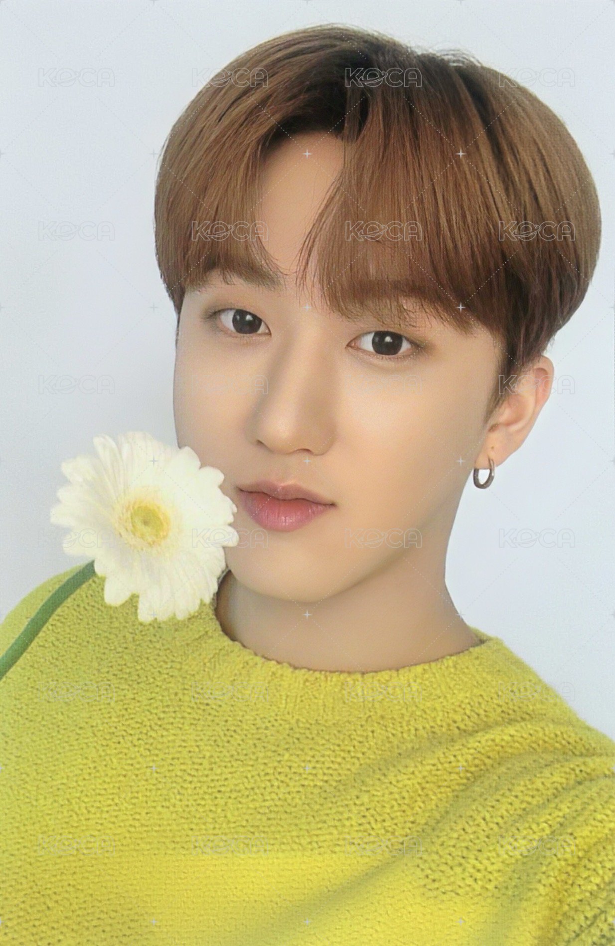 NACIFIC 10.0 代言卡  背面