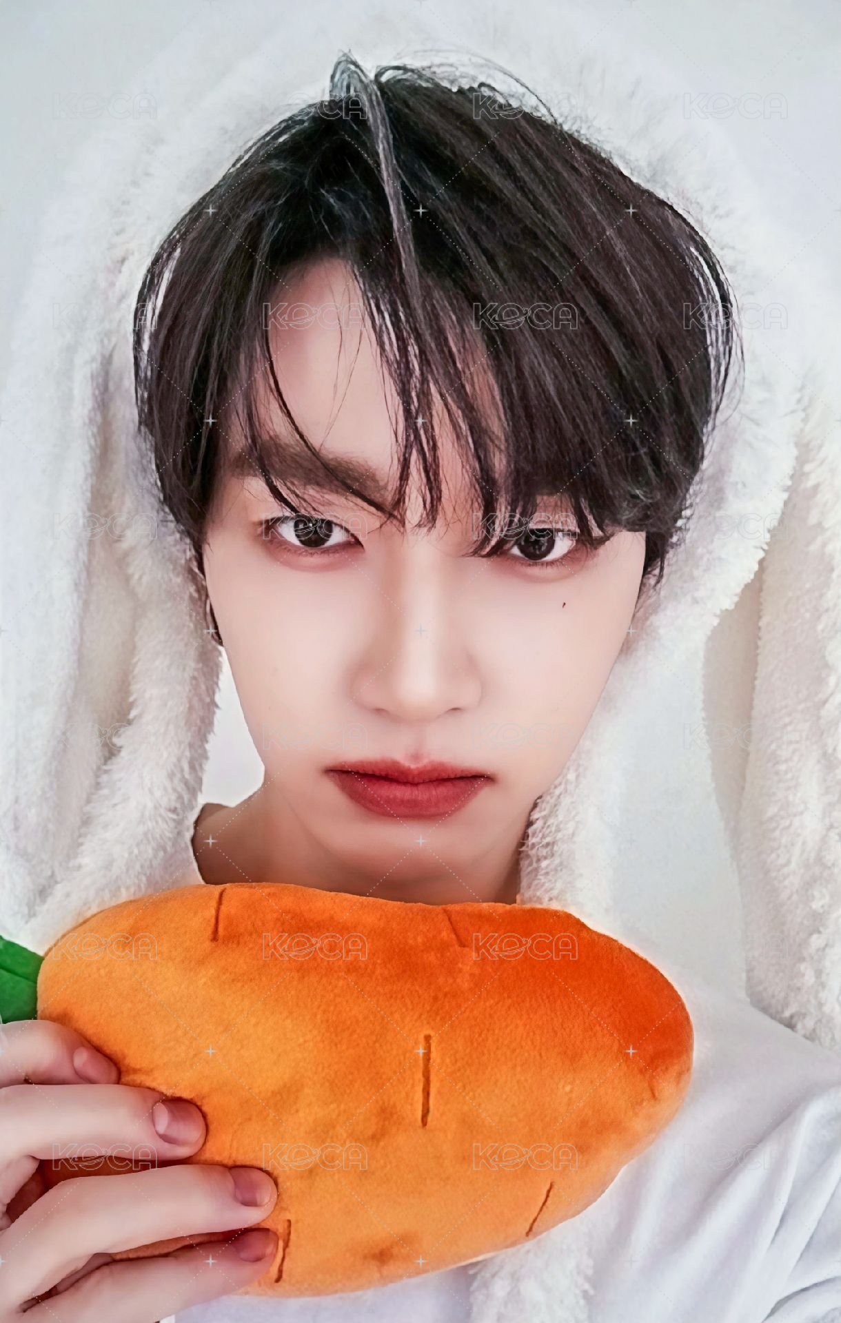 迷五 ms 特典卡 兔毯ver. 正面