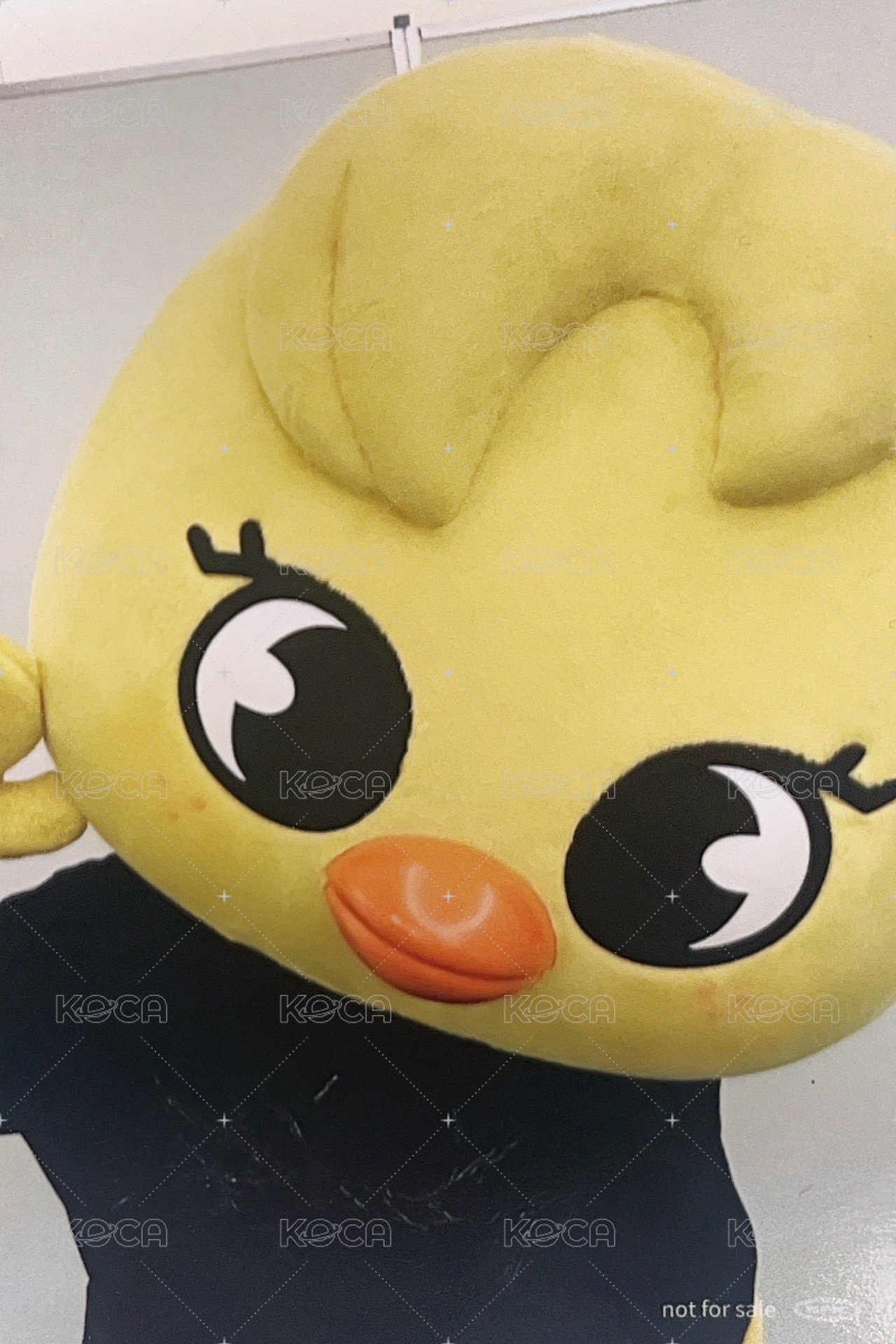 Hollow 塔店 特典卡 靜岡線上限定 背面