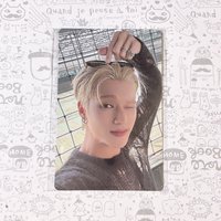 友榮丨檸檬貓咪