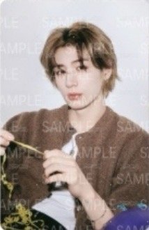 25生日 周邊卡 小卡組 隨機 官拍 正面