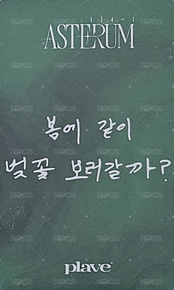 迷二 k4 幸運卡  背面