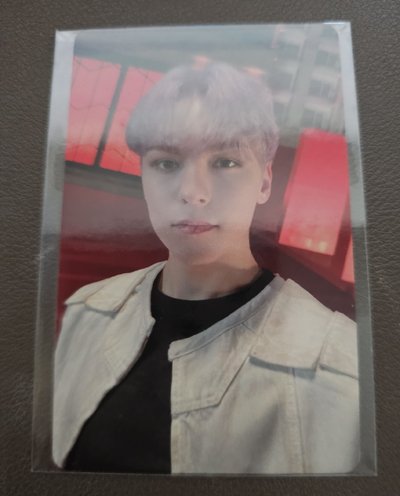 Vernon 迷10 wvs特典