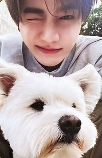 正規一 專輯卡 團封 狗狗 ver.