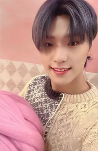 POL 專輯卡 CARAT ver.