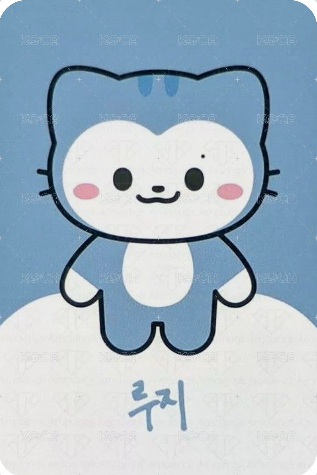 2024 FM 周邊卡 卡套卡 背面