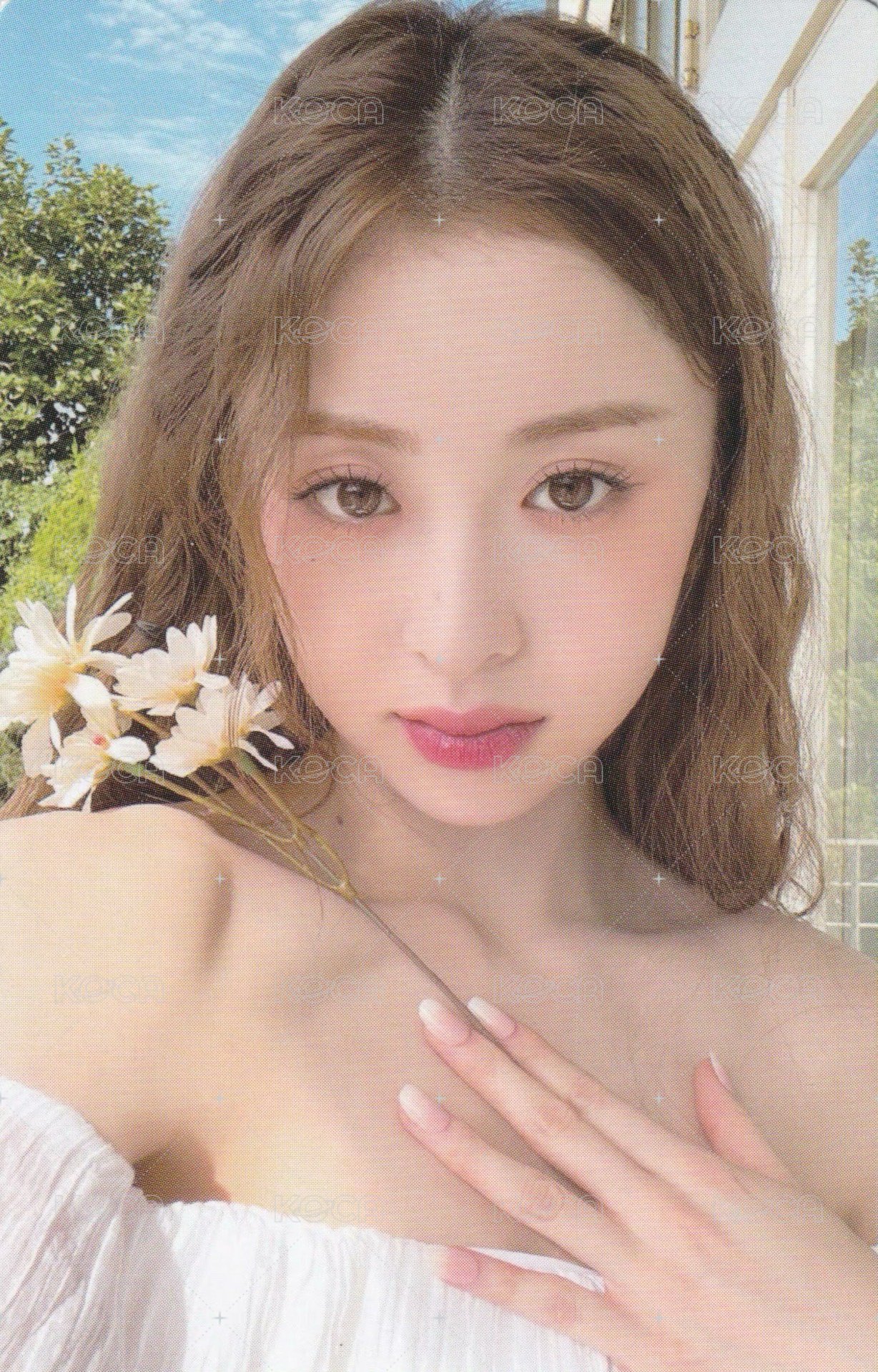 23’年曆 年曆卡  背面