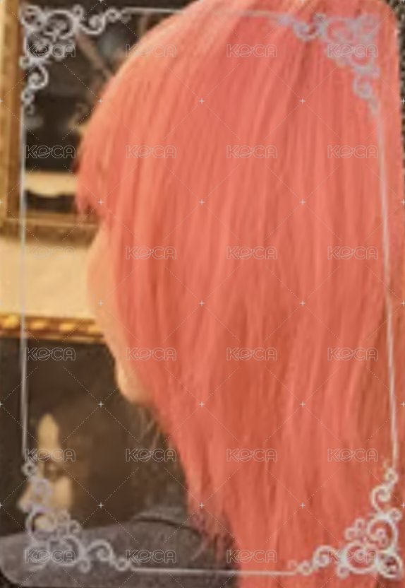 七扇門巡演 隨機卡 卡包卡 背面