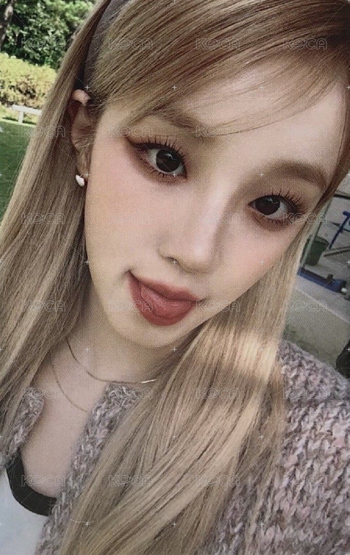 NEVERLAND MEMBERSHIP 第四期 會員禮卡  正面