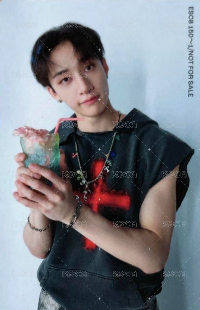 Social Path 專輯卡 FC盤 背面