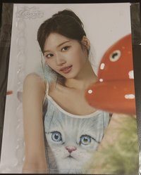 五期會員 年曆卡 