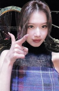 mini 13 bdm 特典卡 