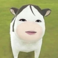 kurik 