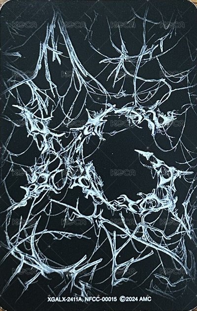 AWE 專輯卡  背面