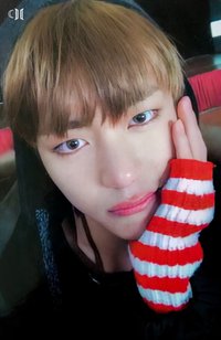 YNWA 專輯卡 隨機