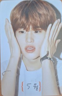 D社寫真 雜誌卡 刮刮卡