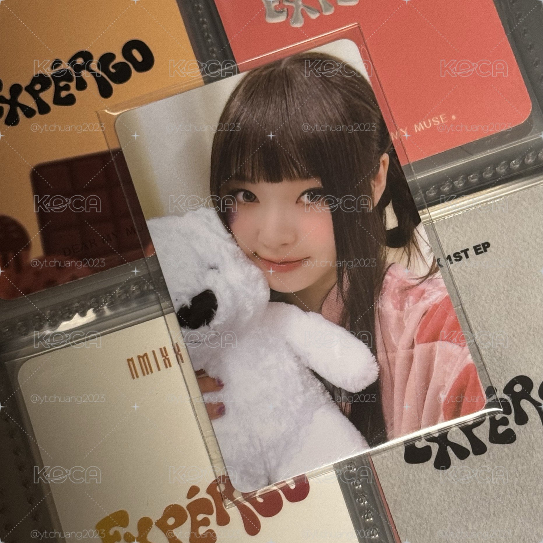 expérgo wm LD 抱熊圭