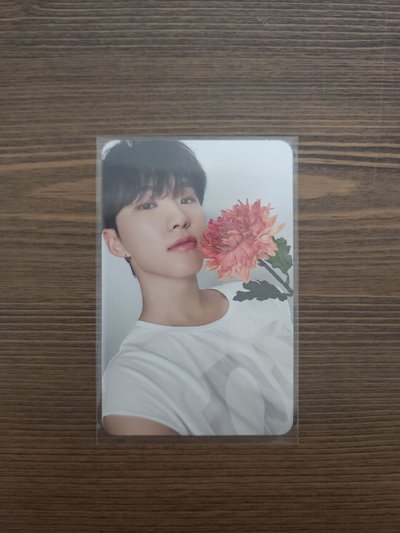 精選專 專卡 CARAT ver. 榮