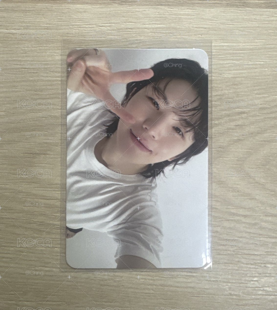 勳 精選專 專輯卡 CARAT ver.