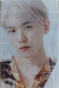BAEKHYUN mumo 特典卡 日專 mu-mo特典透卡