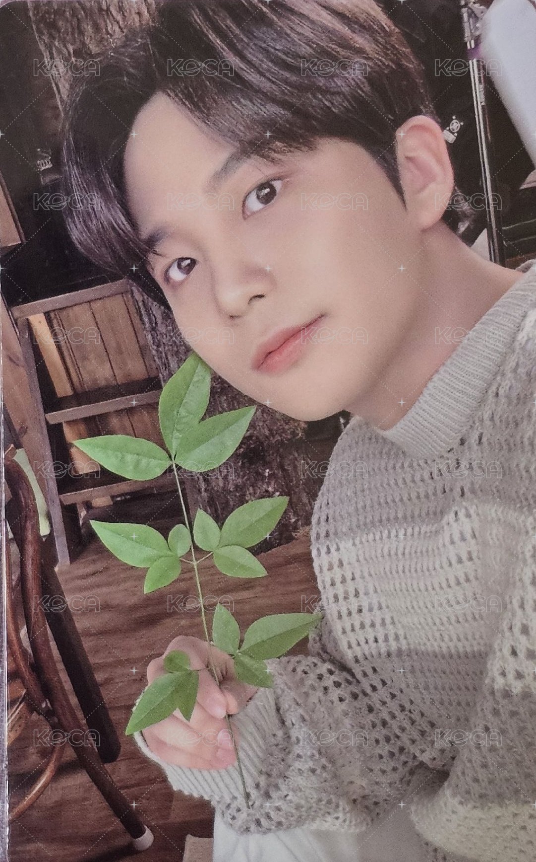 24年夏寫 KQ 特典卡  正面