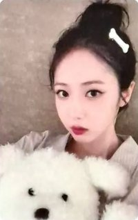 正一 hl 預購 狗狗 特典卡 