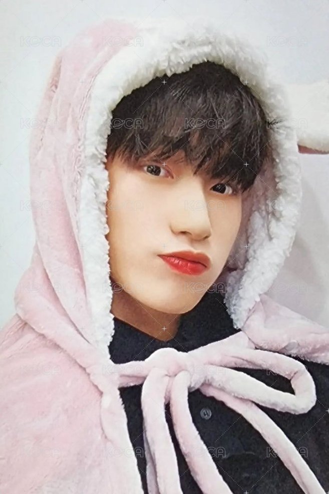 SPIN OFF : FROM THE WITNESS ms 幸運卡 粉兔 ver. 正面