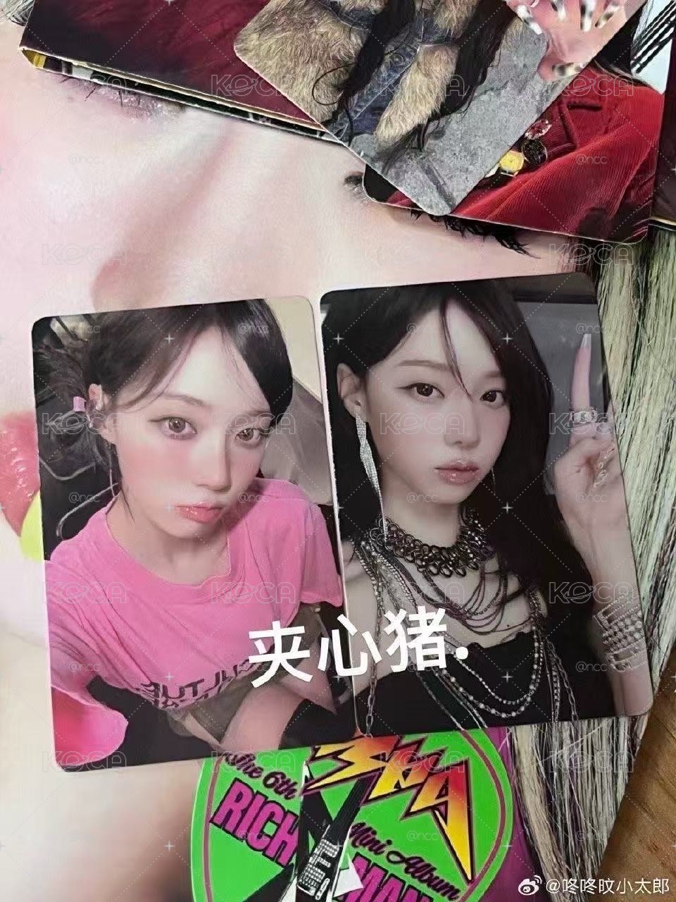 KMS預售冬