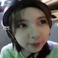 裴真率的蛋撻