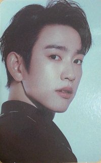 WINTER HEPTAGON 周邊卡 NESTFEST 演唱會卡包