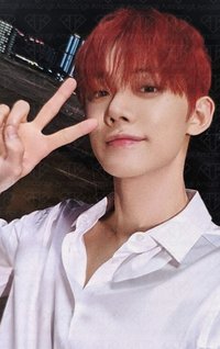 迷七 專輯卡 電子專B