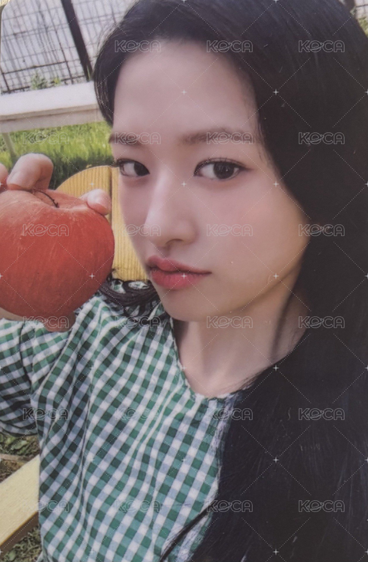 代言卡 MAXIM咖啡 正面