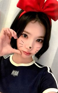 數單一 el 3.0 幸運卡 