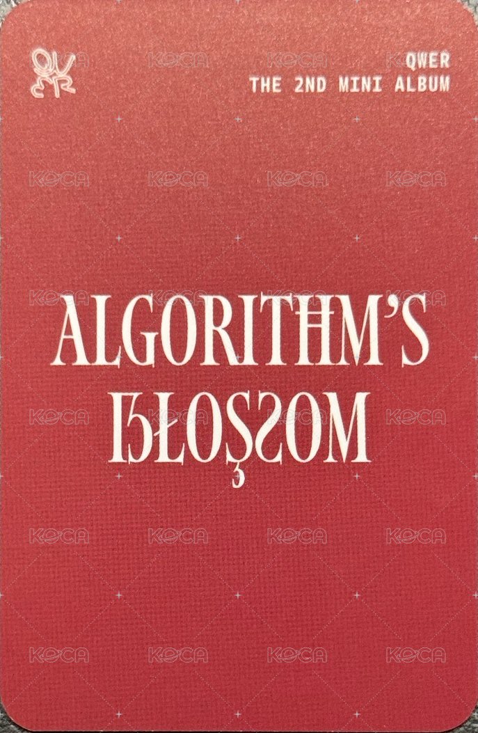 迷二 Kpopstore 線下 3.0 簽售卡  背面