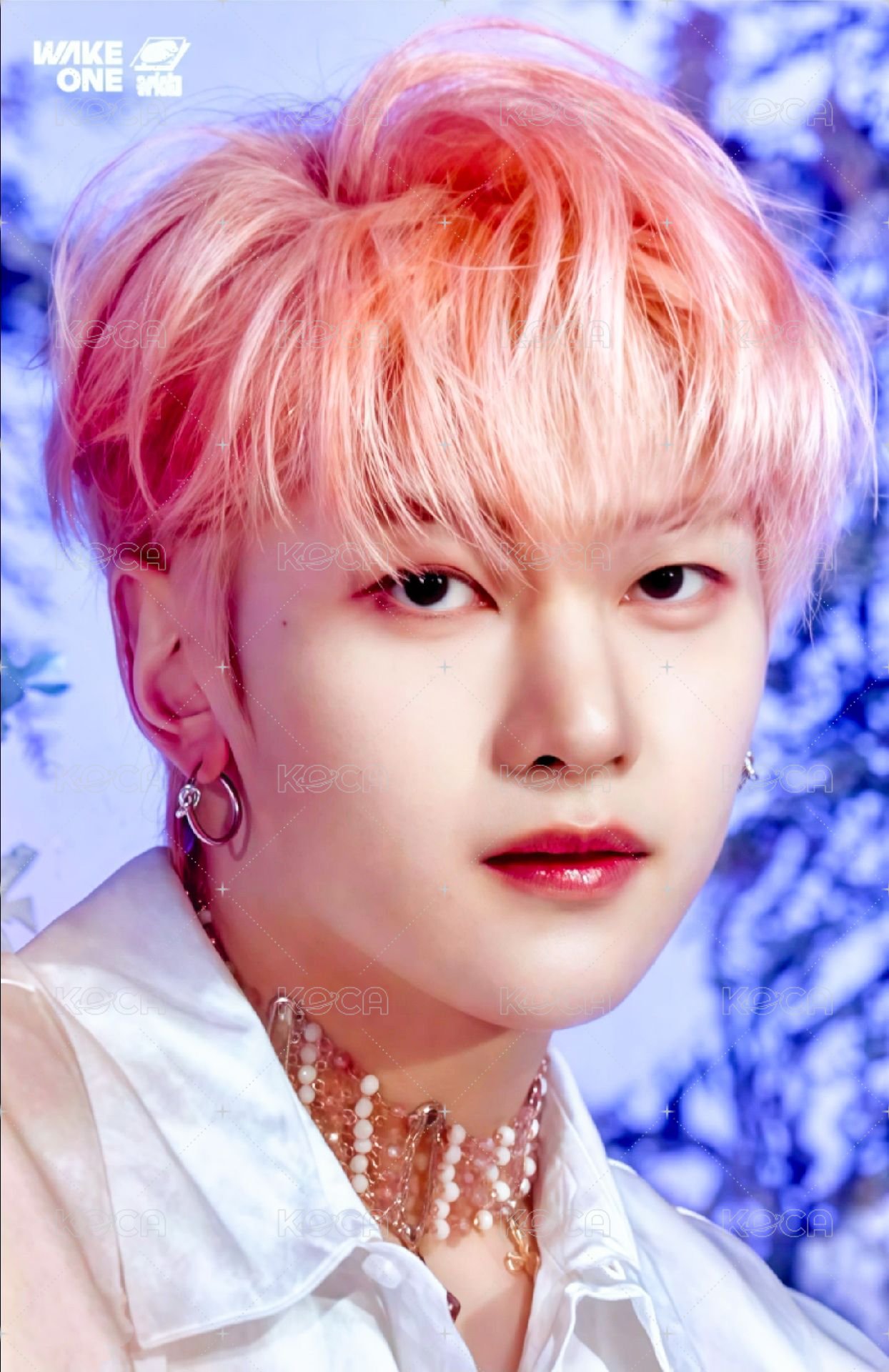 日專 塔店 特典卡 官拍 正面