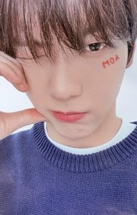 24 FANLIVE 韓國 入場卡 / 場限卡 