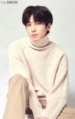 the SAEM 代言卡 雙面卡B 背面