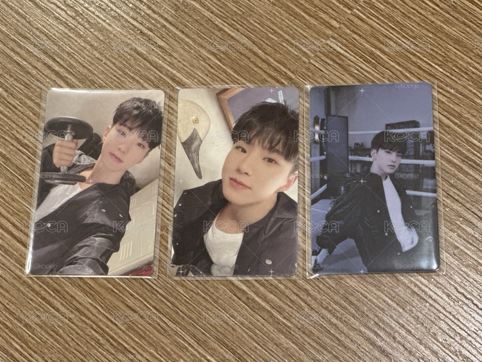 FML WVS ver. Hoshi