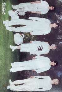 Starkissed 明信片 