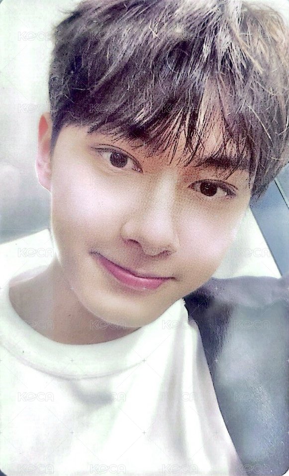 22‘克拉島 演唱會 DVD / CD 卡 克拉島回憶錄 粉ver 正面