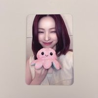 雙面章魚留
