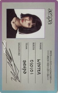 一巡 周邊卡 id冬