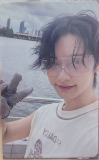 迷12 東京韓區wvs場限