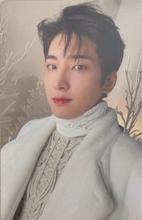 POL 專輯卡 通常ver