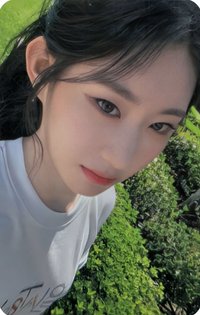 2024年曆 隨機卡 