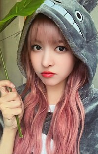 仲夏夜 el 線下 1.0 簽售卡 龍貓