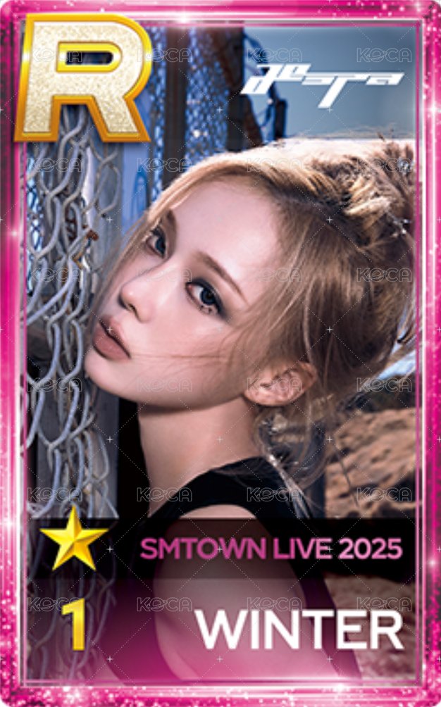 2025smt 遊戲卡 WINTER 正面