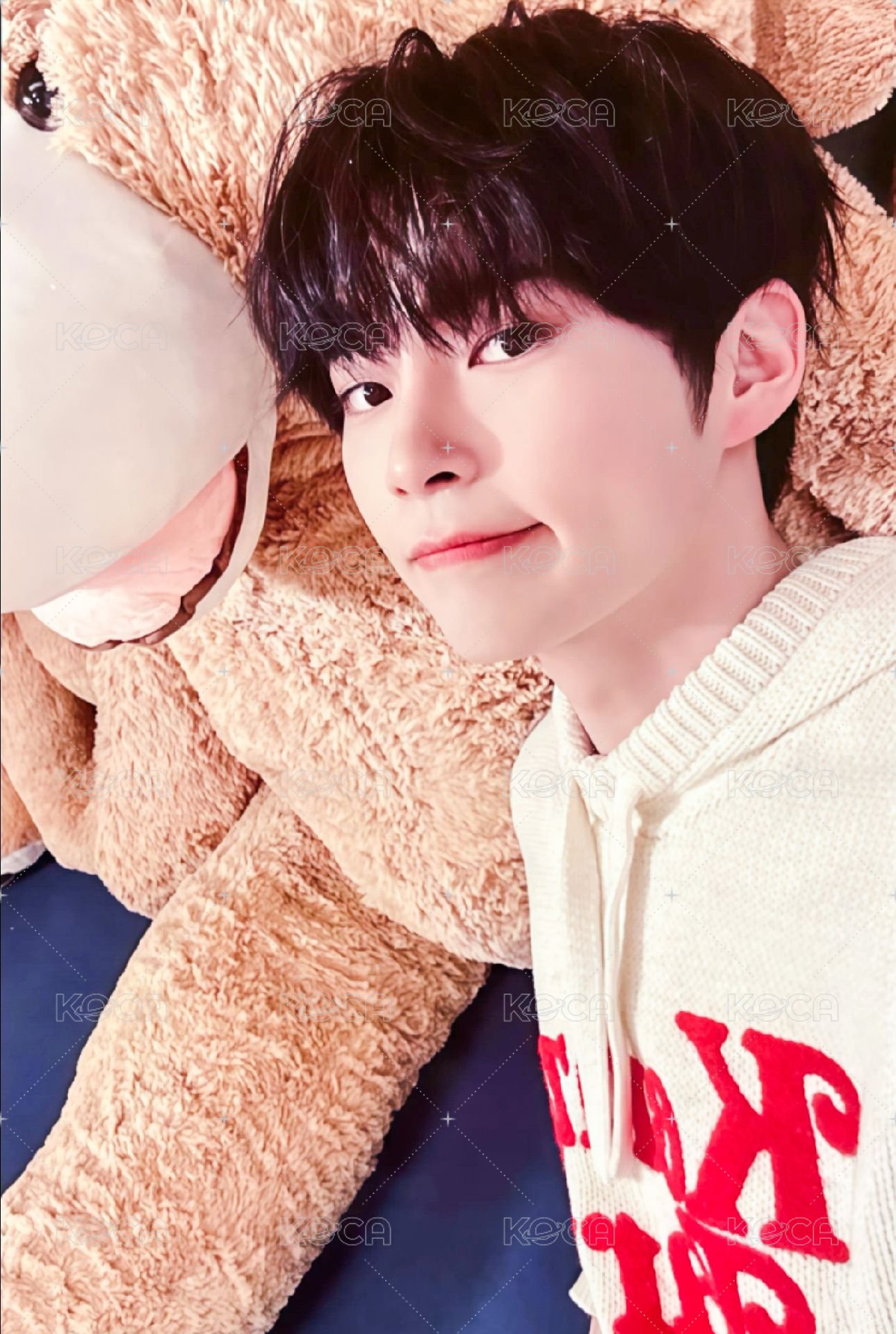 日專 塔店 澀谷 特典卡  正面