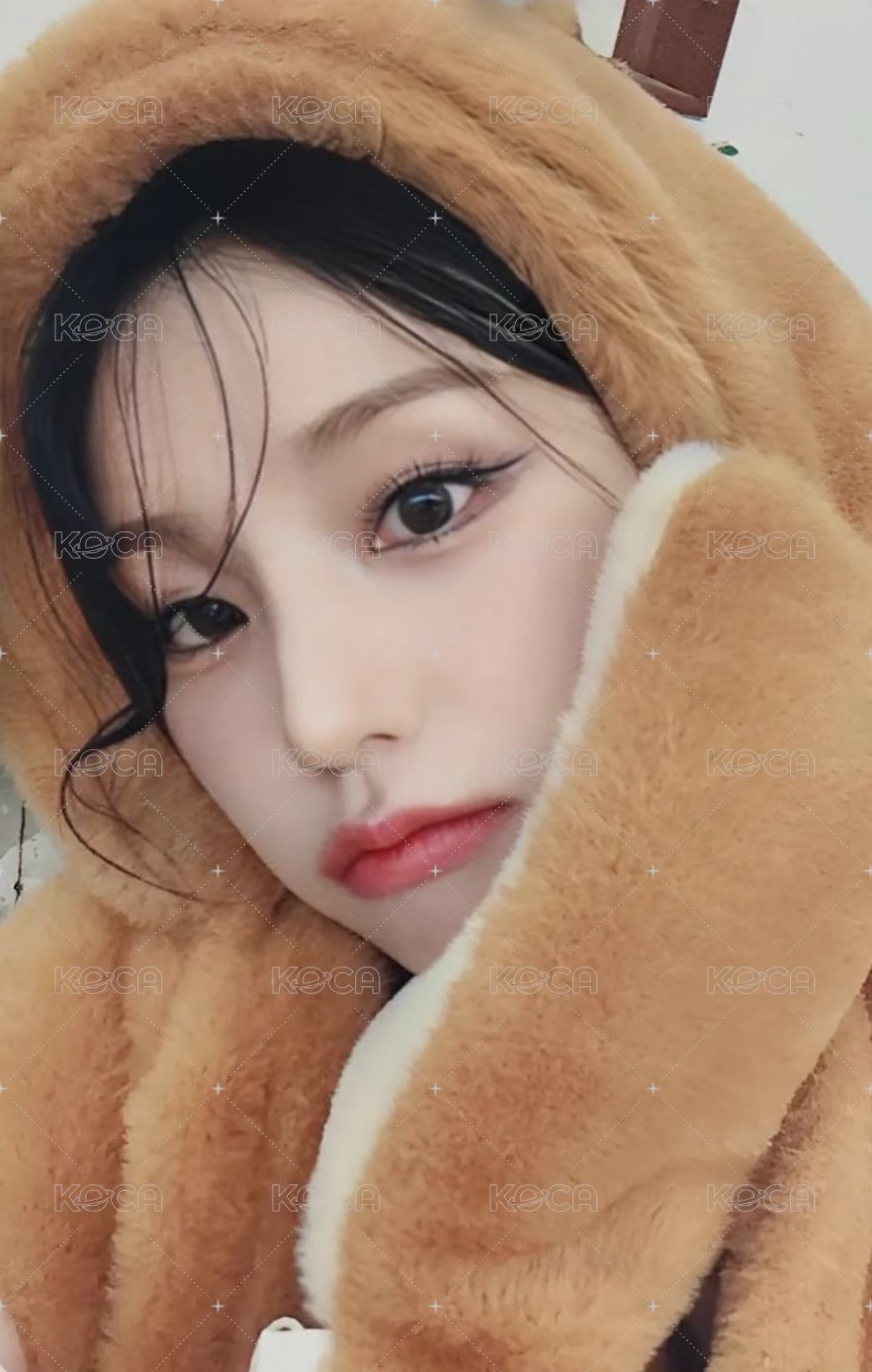 GOLD ms 上海 簽售卡 卡皮巴拉 正面