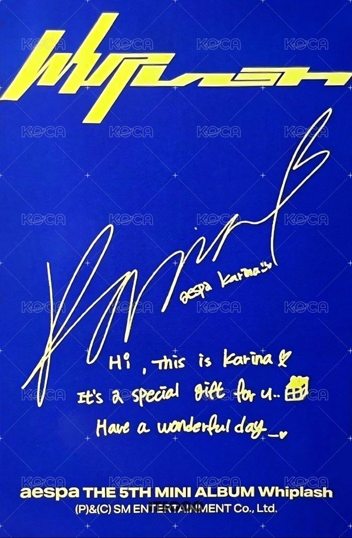 Whiplash target 專輯卡 target柚專卡 背面